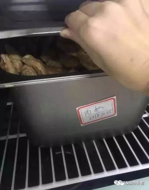 當高端教育遭遇安全隱憂 從深圳民辦學校事件看孩子的健康如何把關